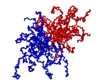 logothphy2